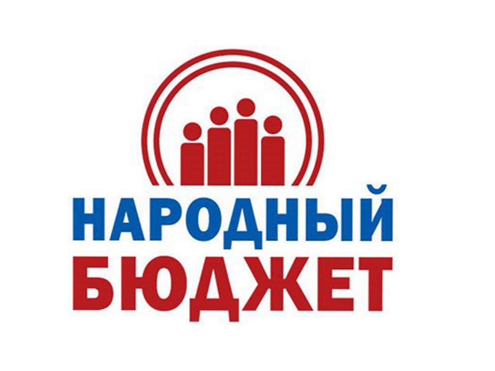 В Новгородской области успешно реализуется практика инициативного бюджетирования «Народный бюджет»..