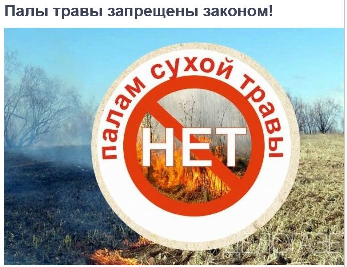 Самые распространенные природные пожары – это травяные палы..